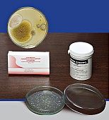 Агар Сабуро с хлорамфениколом для выделения и учета дрожжевых и плесневых грибов (фасовка 0,25*кг)